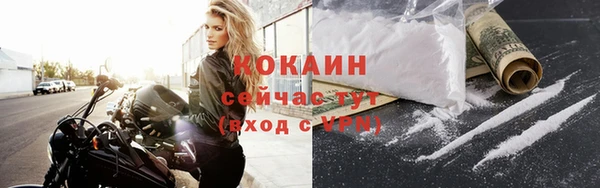 мяу мяу мука Дмитров