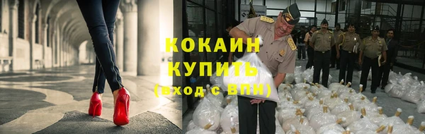 мяу мяу мука Дмитров